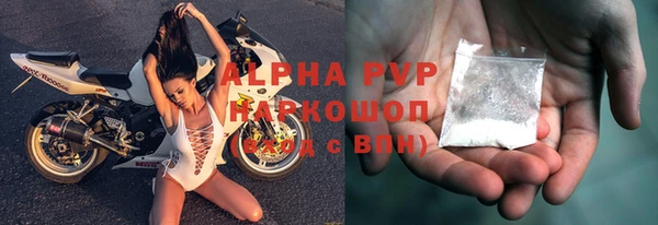 ешки Белокуриха