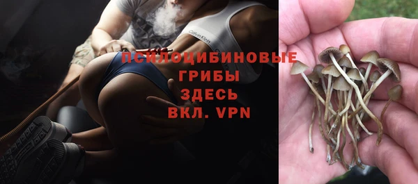 не бодяженный Богданович