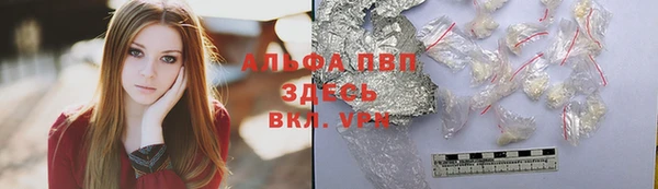 сатива Белоозёрский