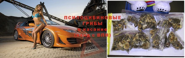 прущий лед Богородицк