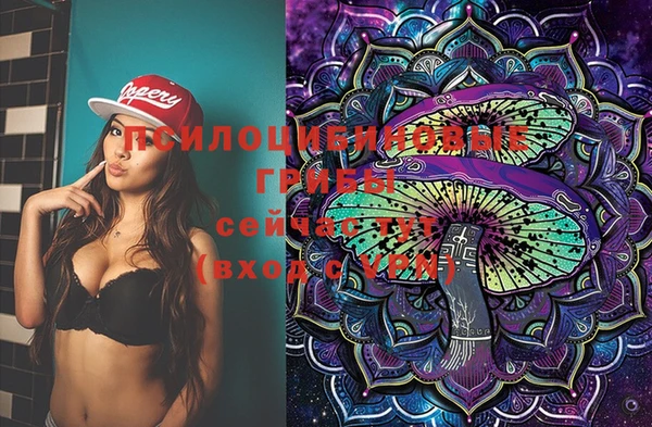 ECSTASY Богородск